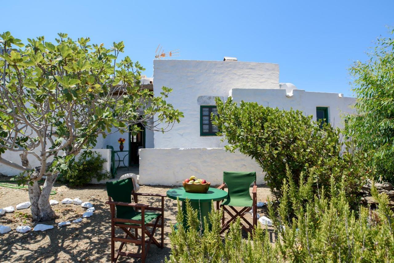 Villa Itonia House à Amorgos Extérieur photo